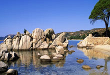 泸州同城论坛门户天涯社区，泸州人都爱登！